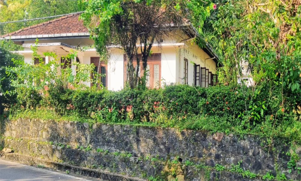 Spacious villa with 2-hectare tea plantation